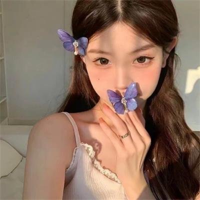 圣诞狗狗救援